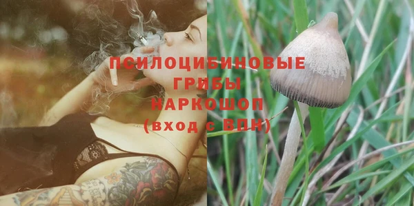 a pvp Карпинск