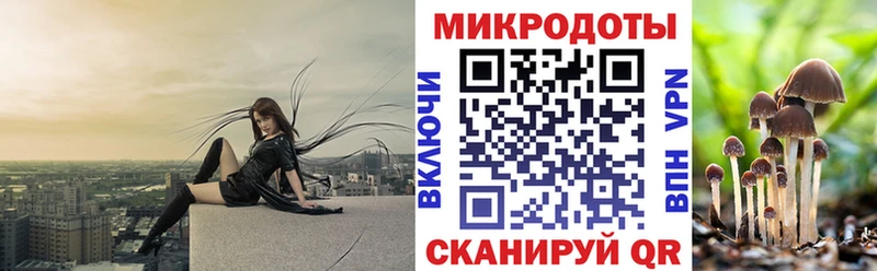 Галлюциногенные грибы мицелий  купить   blacksprut онион  Киренск 